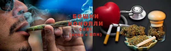 PSILOCYBIN Баксан