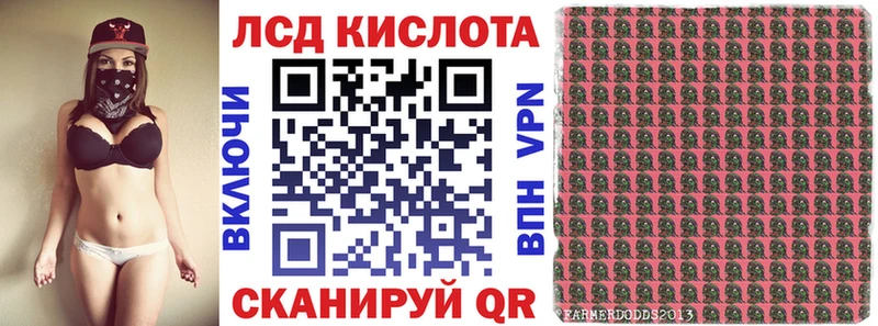 Купить закладки  Тында  Наркотические марки 1,5мг 